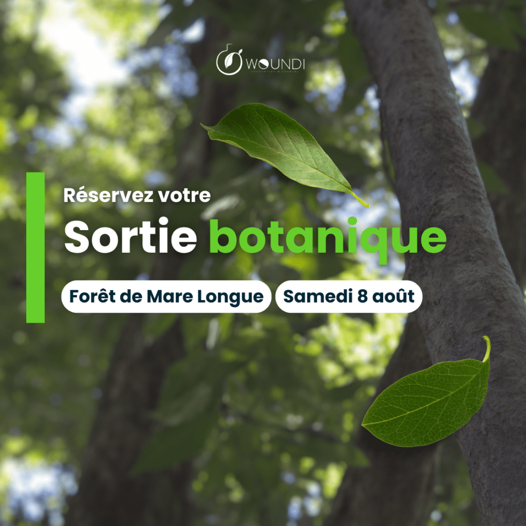 Sortie botanique à St Philippe