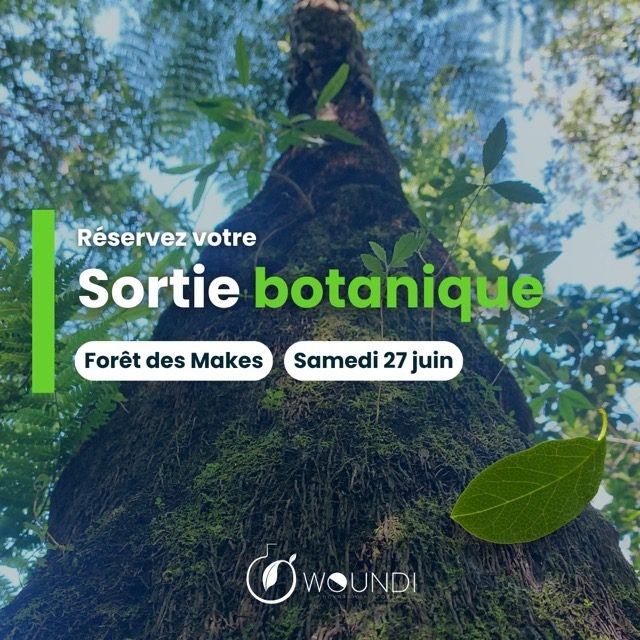 Sortie botanique
