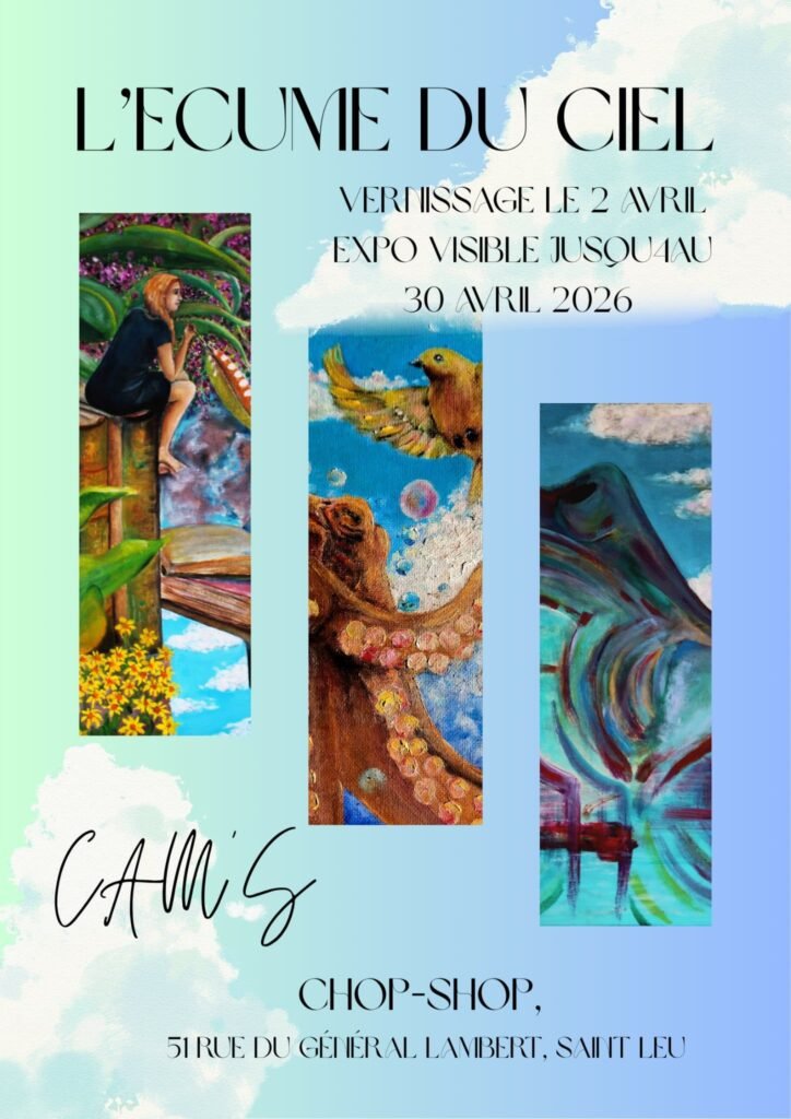 l'écume du ciel de camille sauve