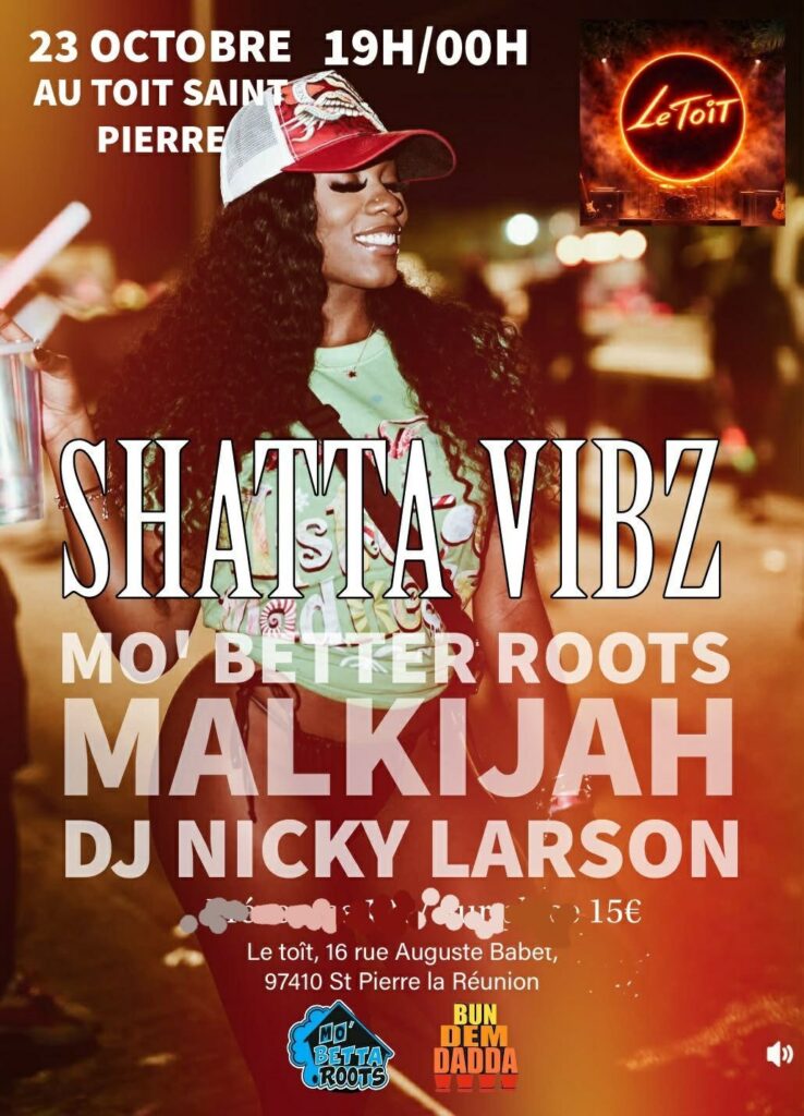Shatta vibz 