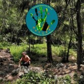 Art Therapie 01032026 Carré sans texte pour Lazenda