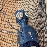 Bébêtes - Les minuscules