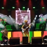 Blackman & roots lion - Moyenne