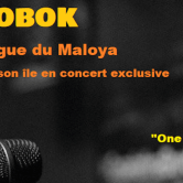 Bobok latino