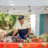 Festival ALIMENTERRE - Moyenne