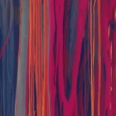 Jazz dann port header