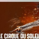 Le cirque du soleil Quidam