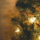 Le petit sapin bleu