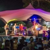 Ouistiti Sax Groove Machine