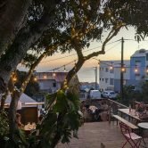 PXL_20241129_145836773-min