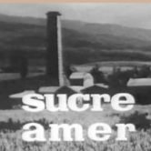 Sucre amer