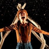 VIE____Renaud_Dupre__5_