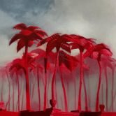 abel techer la foret rouge - Moyenne