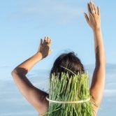 Bandeau Site 1280x630 - 1