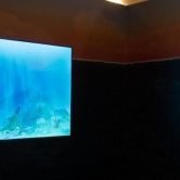 bandeau site 1280x630 - 1