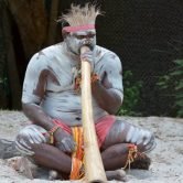 Portrait of one Yugambeh Aboriginal man play Aboriginal  music on didgeridoo, instrument during Aboriginal culture show in Queensland, Australia.