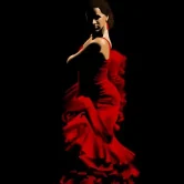 flamenco