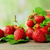 Fête de la fraise