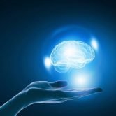 Close up of businessman holding digital image of brain in palm