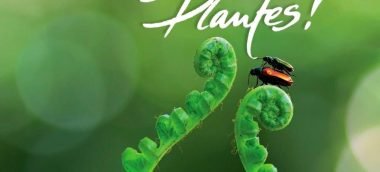 incroyables_plantes_2