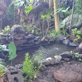 jardins de fond imar