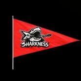 sharkness live