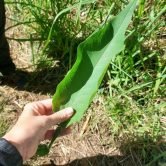 AZENDAre_1120x1120 - sortie2_WOUNDI